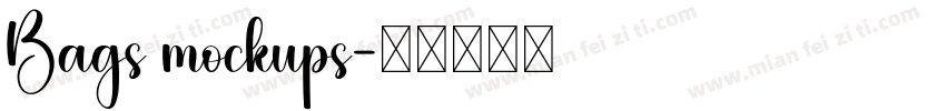 Bags mockups字体转换